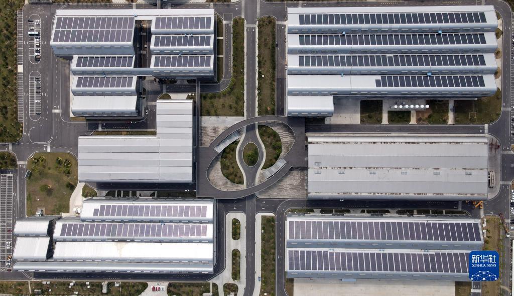 世爵登录地址6